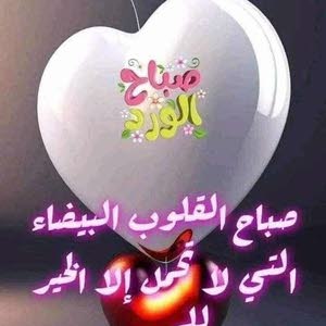 Omar Sokne