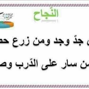  عامر