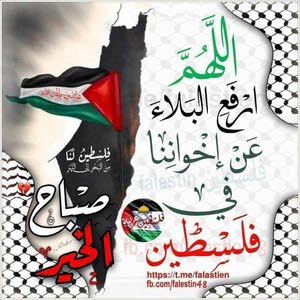 نايل سلهوم الزوري