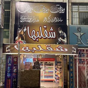  ماجد الشملتي