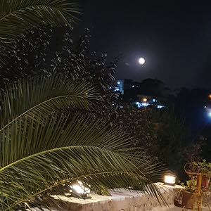  ابو عمر