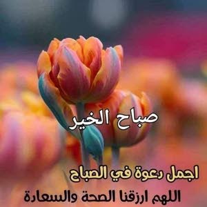  Fares Hiajneh