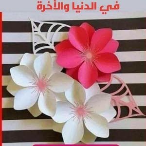  احمد العيبي