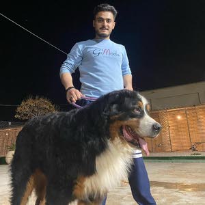  Mohammad hassn