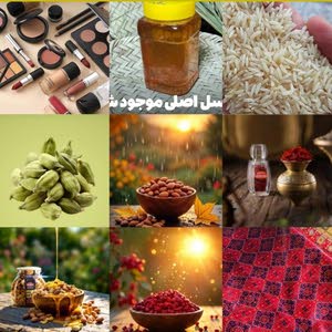  يصدّر