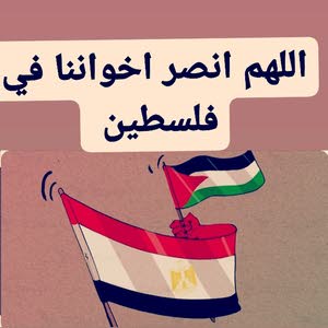  محمد قيمر