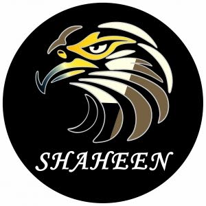 mohammad Shaheen