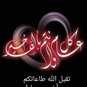  qosy fadi hamada
