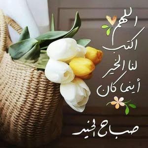  محمد ياسر