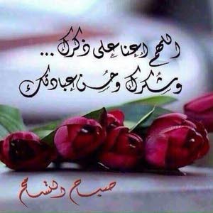  احمد القصاص