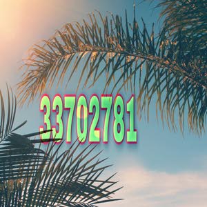 بو محمد 33702781 call