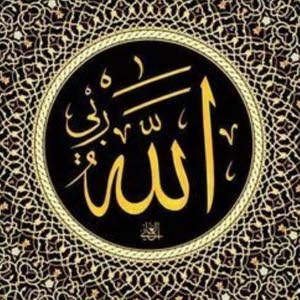  احمد احمد