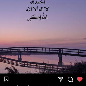 محمود القيسي