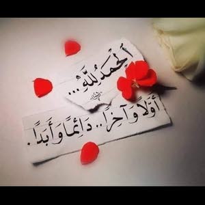 Kaled Abo Ali