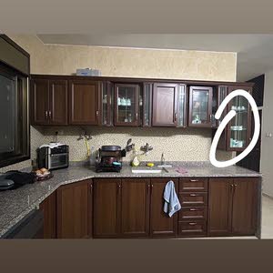 بدر شاهين