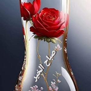 علي المصري