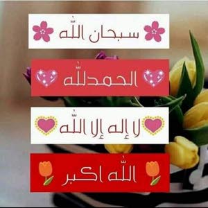  احمد احمد