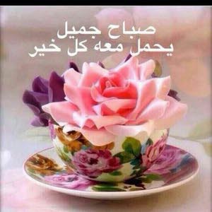 ايهاب