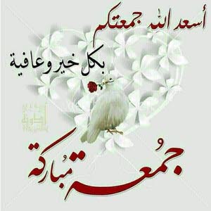علي صقر