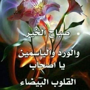  رضا العلي