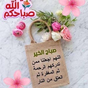 Zaid Shabi