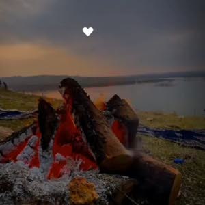 محمود حمزه