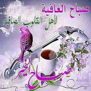 احمد محمد قاسم الدراغمه