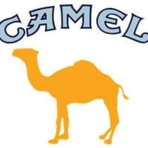 غيث