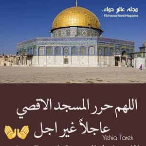  Amre abrahim Zbedy