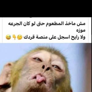  Atef Atef