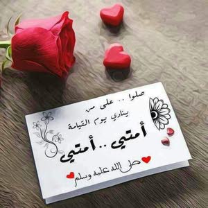  Morad Alzaeem