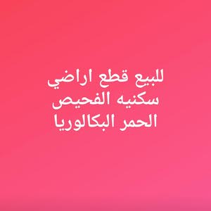  احمد ابو رمان