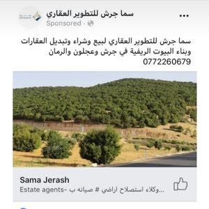  احمد العلي