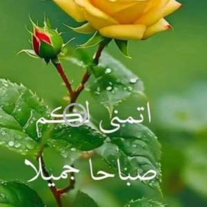  امل سعيد ابو صبيح