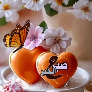  ابراهيم محمد احمد الصلاحات