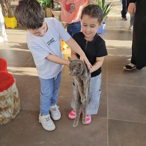  FIRAS ELRIFAI