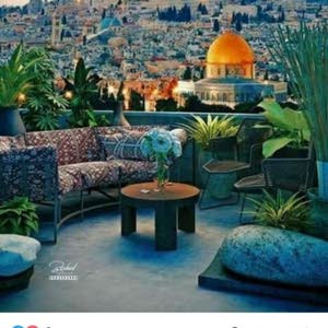  يزيد linda.alqudah