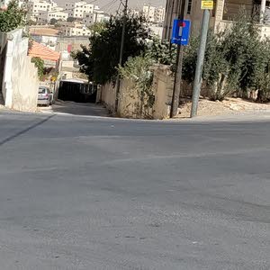 ابو راشد الهبارنه