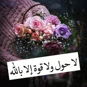 حضانه الزرقاء الجديده