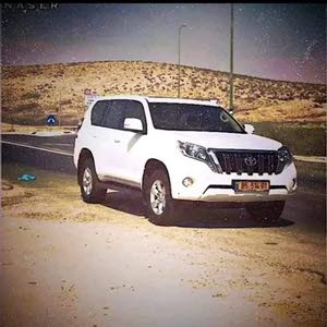 جواد الشاويش