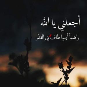 محمد