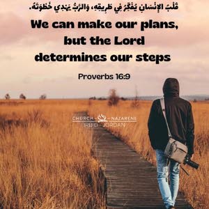  AliDahabi