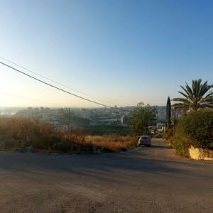 محمد سعيد الشني