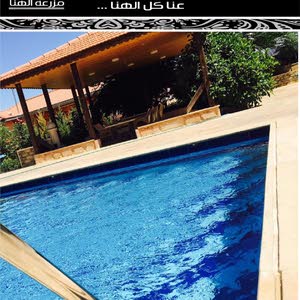 محمد شاويش