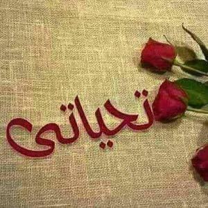  ايمن خشان