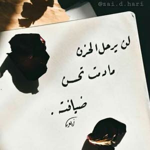  كرم كرم