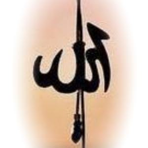  نضال هايل