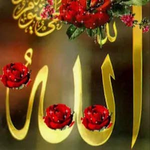 القلب محتار ولرب غفار