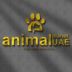  ANIMAL PLANET UAE