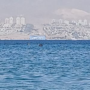 ghalia jamous